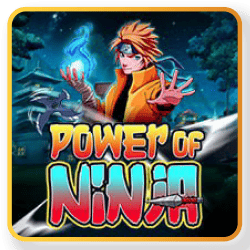 Power of Ninja