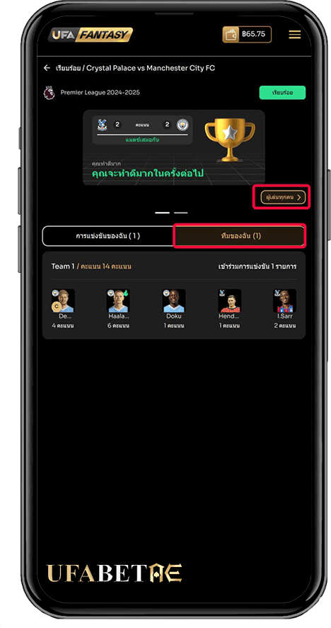 ทีมของฉัน